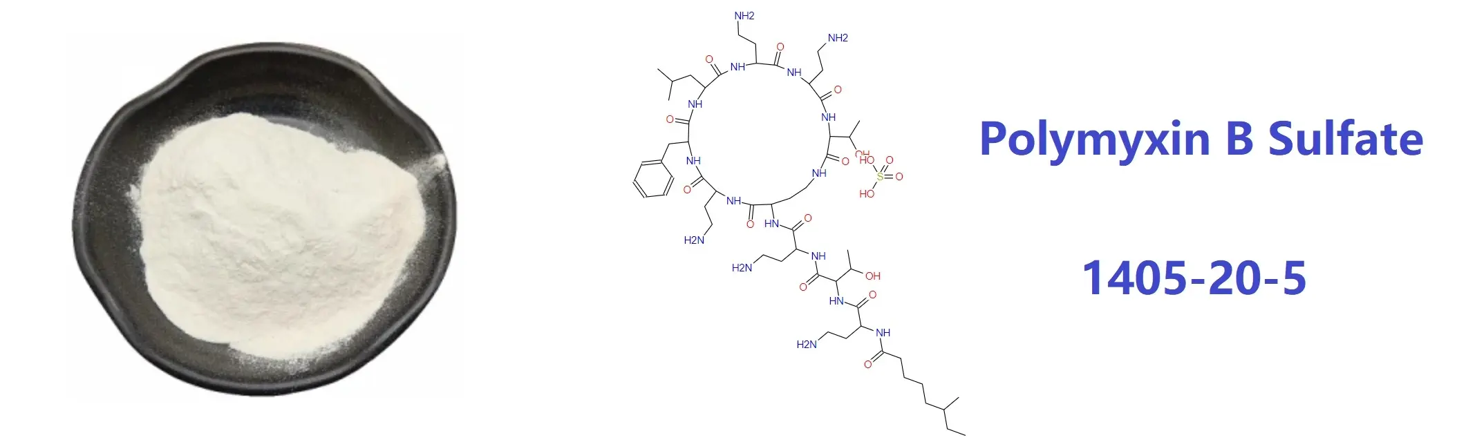 Polymyxin B Sulfate factory.webp